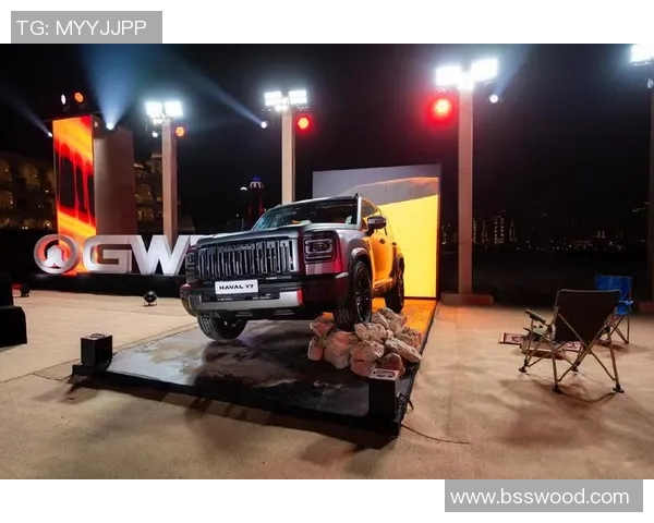 猛龙再起！探索猛龙王朝崛起背后的秘密与传奇