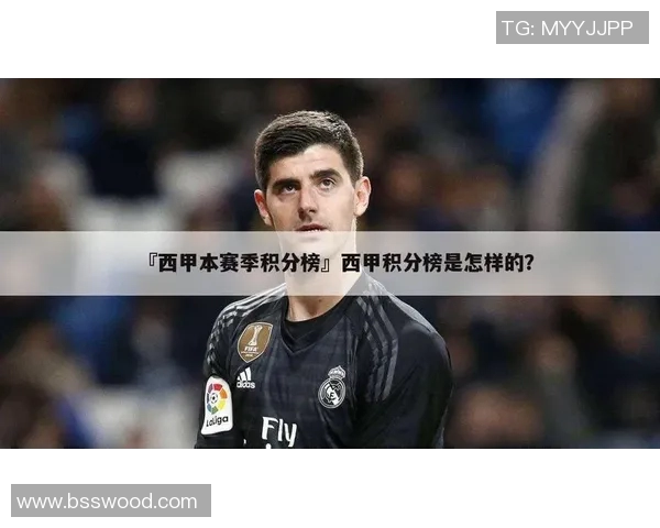 西甲联赛18赛季比赛比分详细统计与赛程影响分析